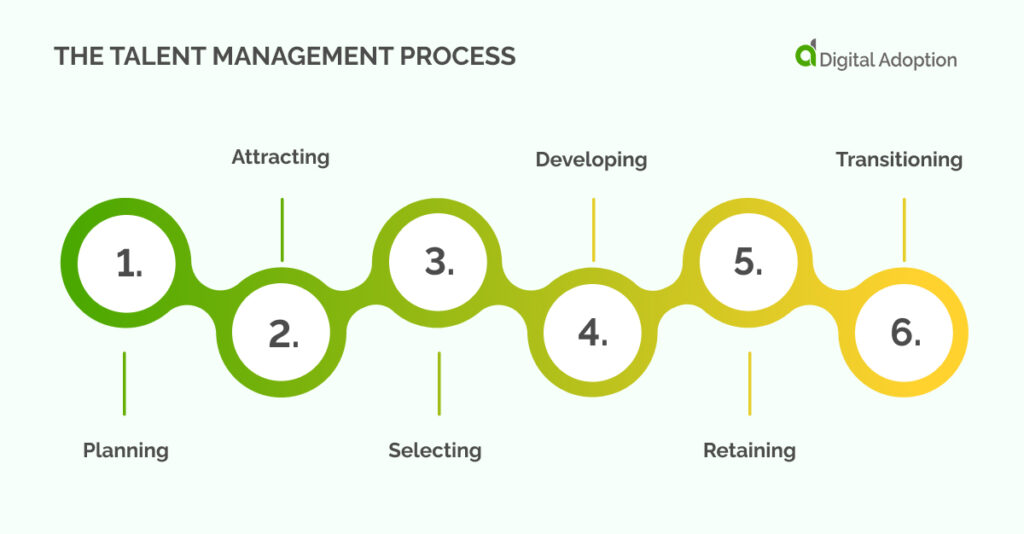 the talent management process