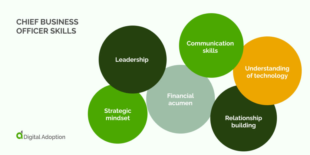 Chief business officer skills