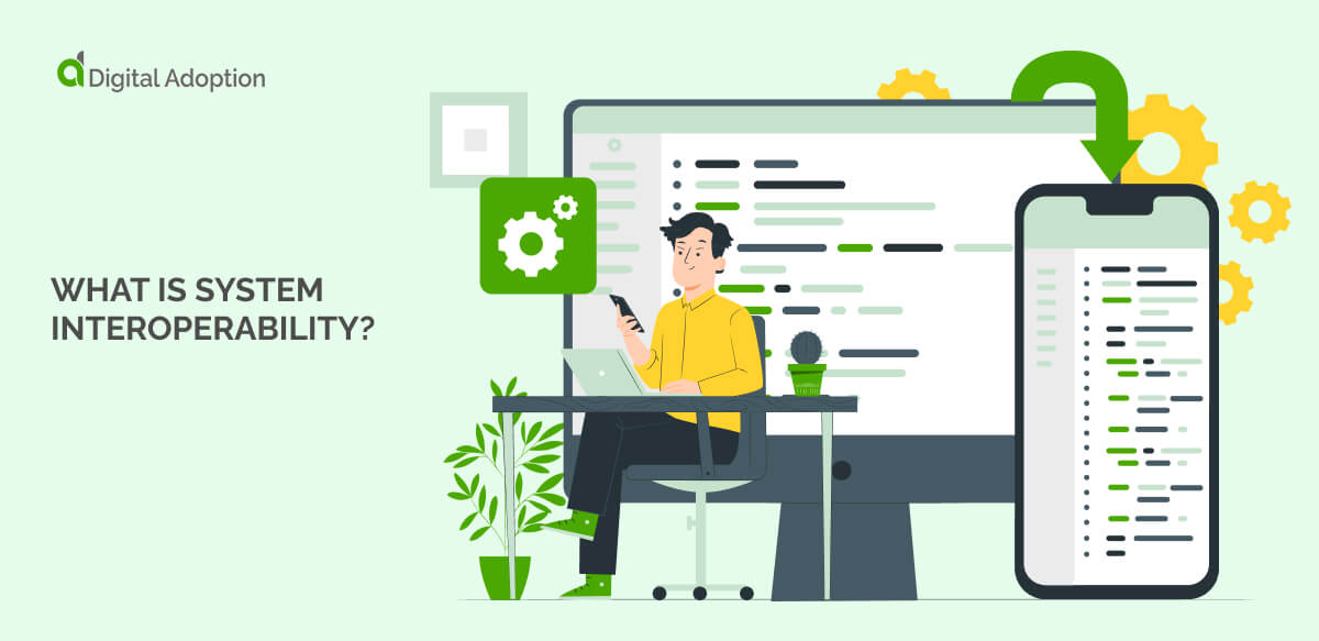 What is System Interoperability?